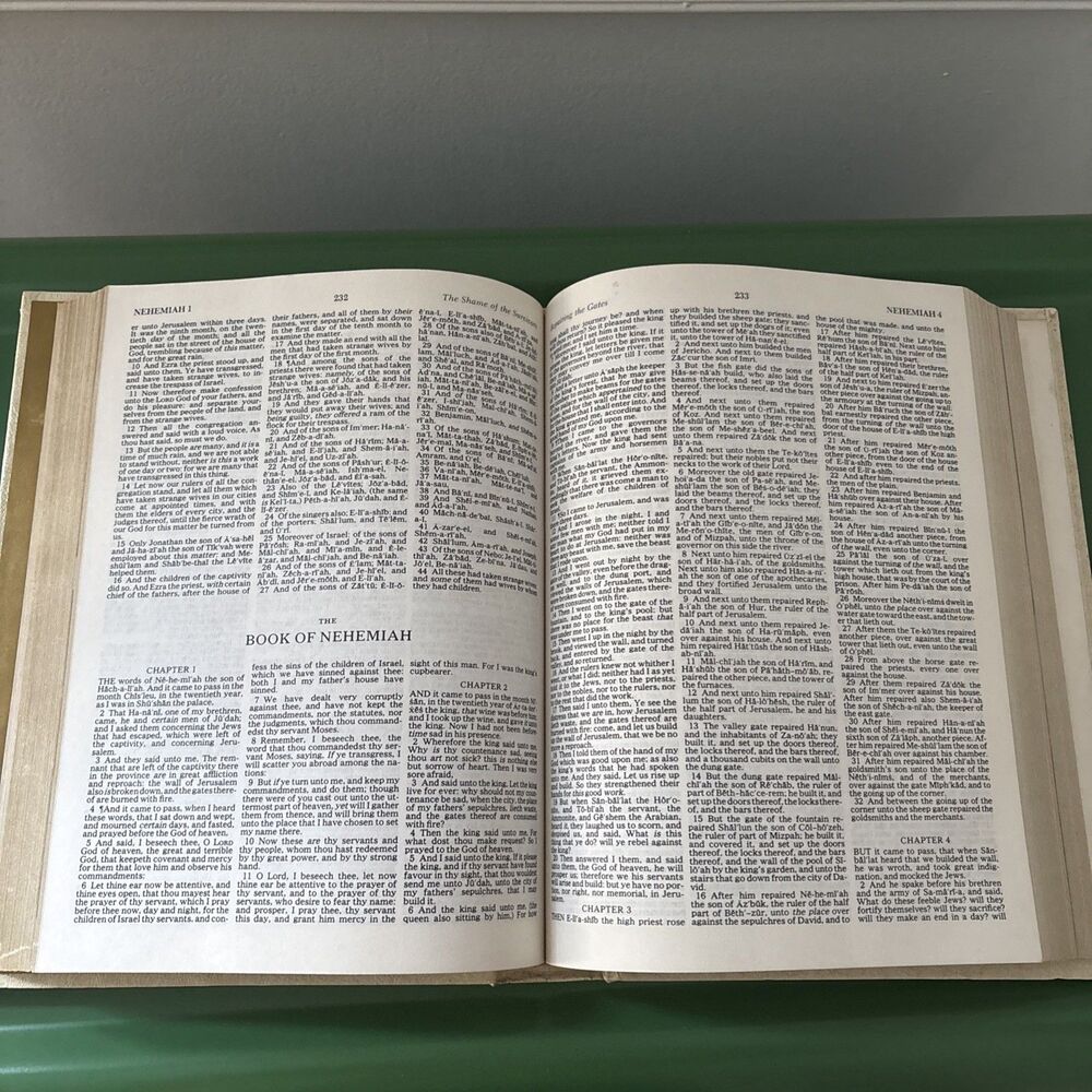 VTG 1978 Large Bible Family Keepsake illustrated KJV words of Christ in Red - Picture 13 of 16